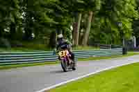 cadwell-no-limits-trackday;cadwell-park;cadwell-park-photographs;cadwell-trackday-photographs;enduro-digital-images;event-digital-images;eventdigitalimages;no-limits-trackdays;peter-wileman-photography;racing-digital-images;trackday-digital-images;trackday-photos